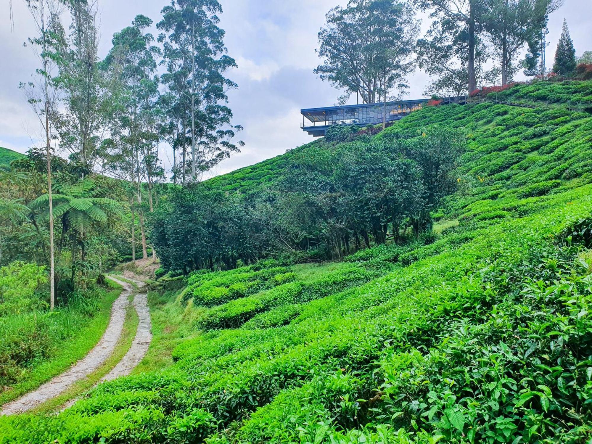 Clocktower 2 Homestay 2-7 Pax At Brinchang, Cameron Highlands Esterno foto